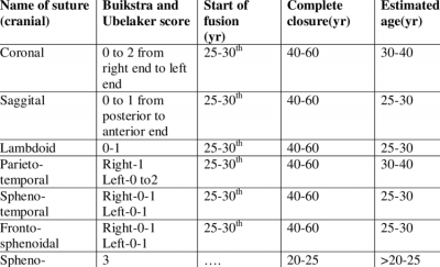 Age estimation based on closure pattern of cranial and facial sutures