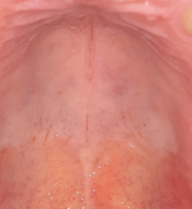 Screenshot 109