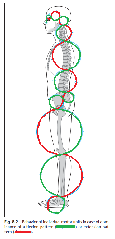 craniosacral3