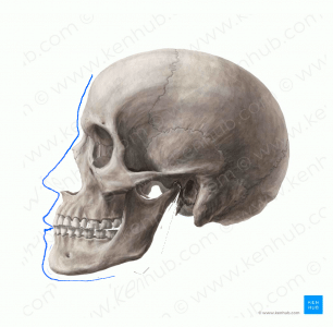 step5