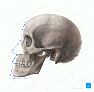 step6