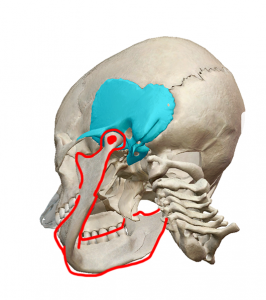 skull 3