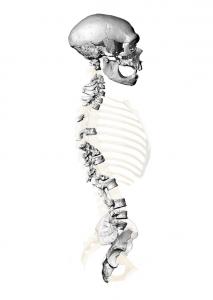 neanderthal