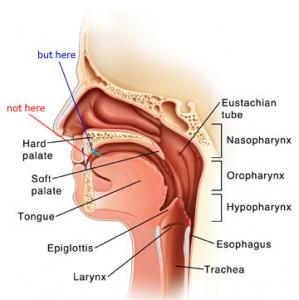 example
