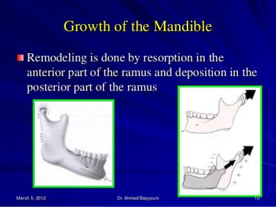 growth and development of craniofacial complex ii 10 638