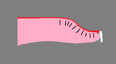 oHsrLdP