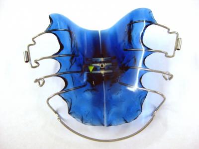 schwartz expander