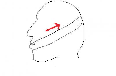 lip seal