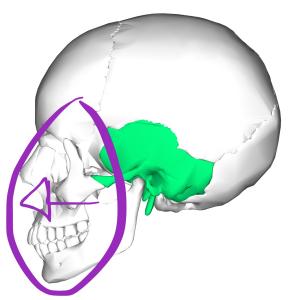 4E8E513C 8253 4328 8345 3082E18BEC23